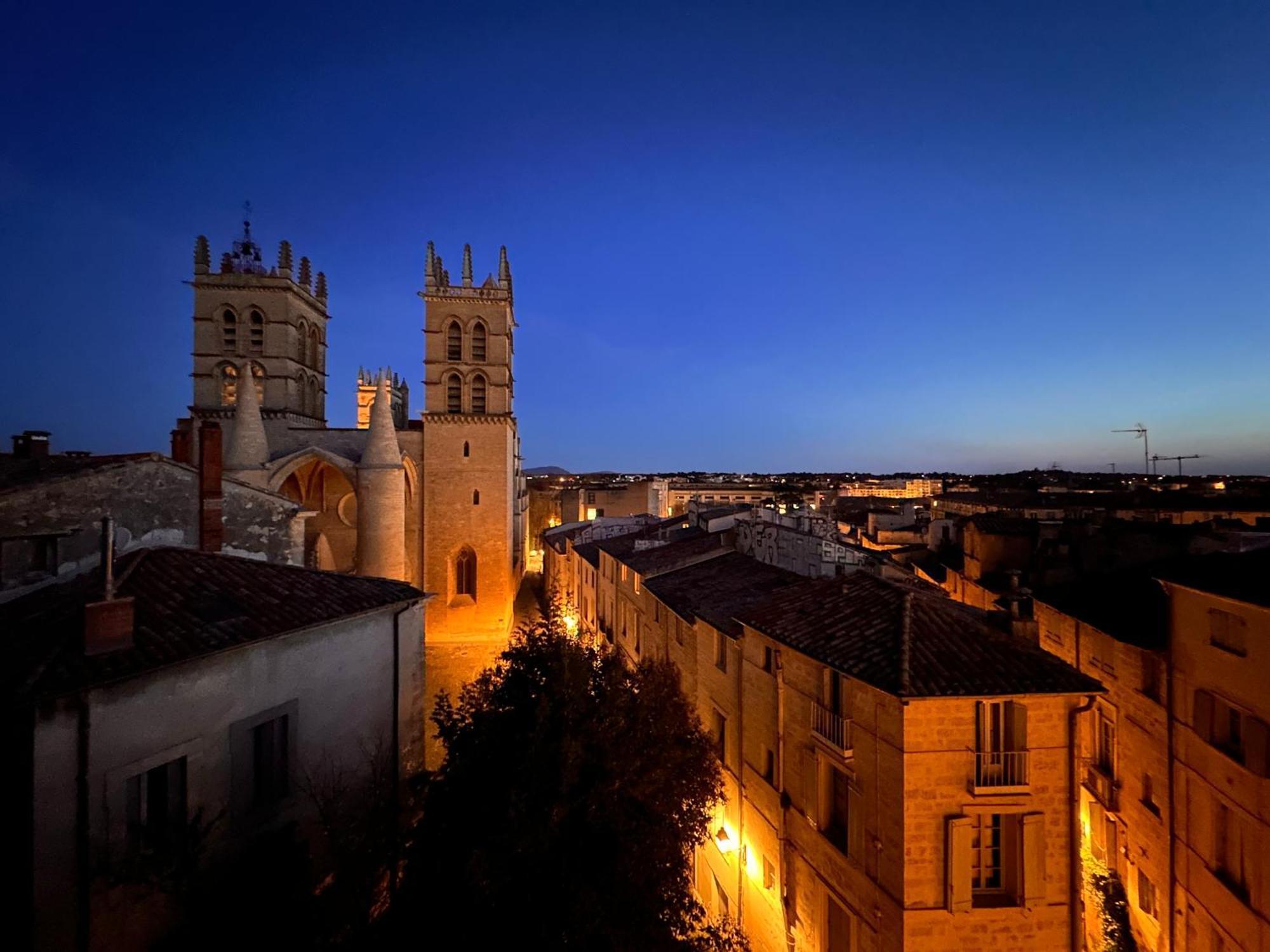 La Terrasse, Vue Sur Les Toits De Montpellier Leilighet Eksteriør bilde