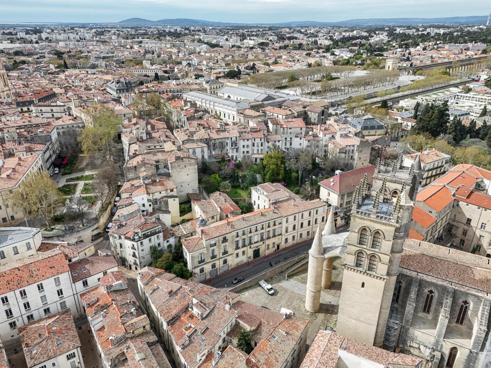 La Terrasse, Vue Sur Les Toits De Montpellier Leilighet Eksteriør bilde